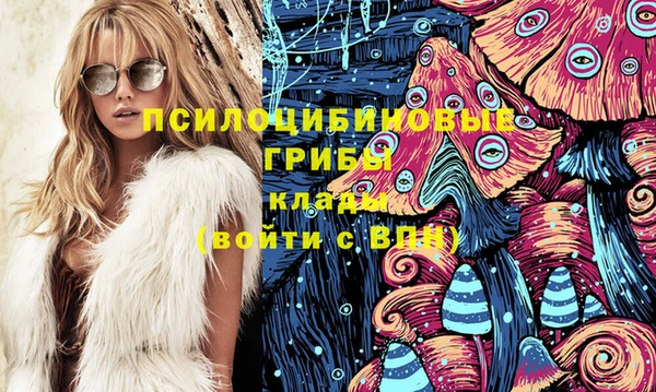 jwh Бородино