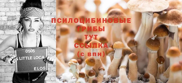 2c-b Волосово