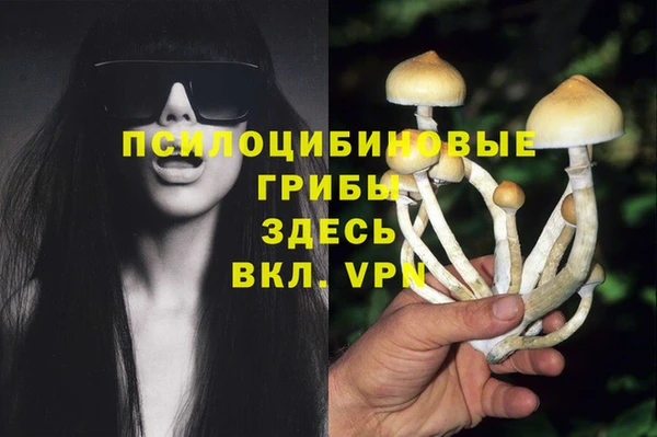не бодяженный Верхний Тагил