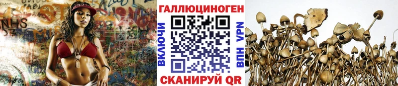 Псилоцибиновые грибы мухоморы  Железногорск-Илимский 